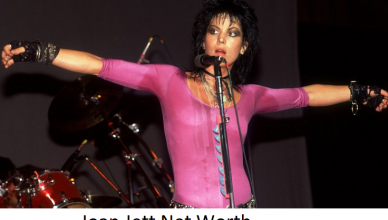 Joan Jett Net Worth